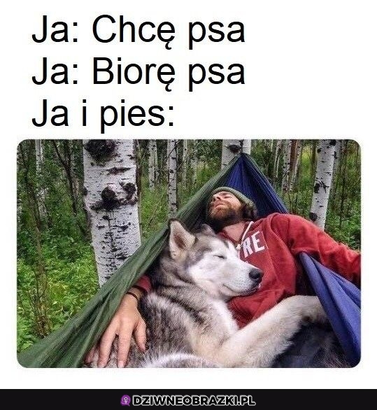 No i pięknie