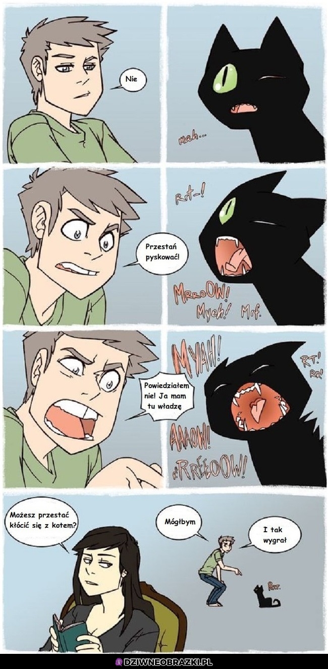 Komiks o kłóceniu się z kotem