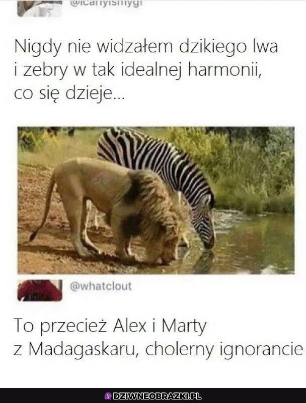 To oni