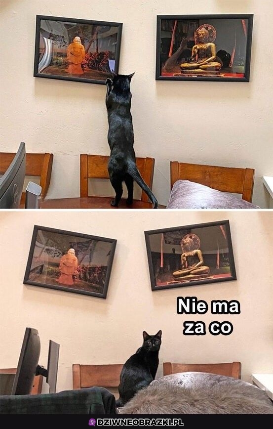 Od razu lepiej