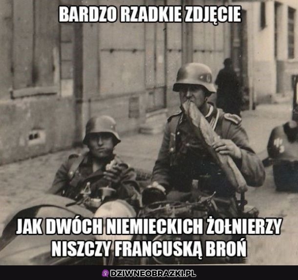 Rzadkie zdjęcie