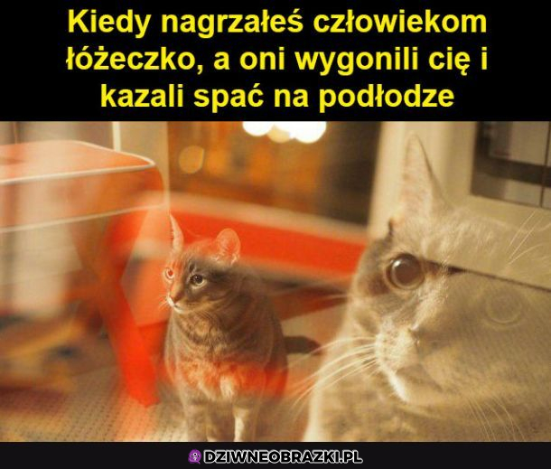 Jak oni mogli
