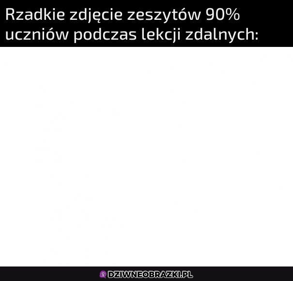 Bardziej 100%