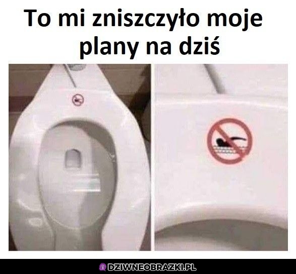No nie