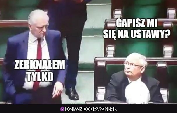 Na co się gapisz?