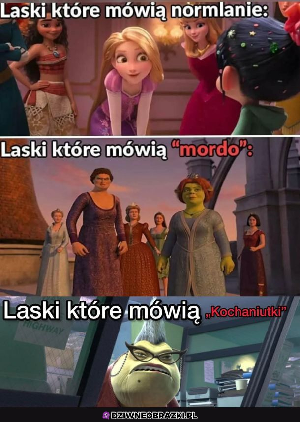 Trzy typy lasek