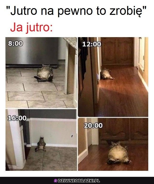 Ale jutro już na pewno