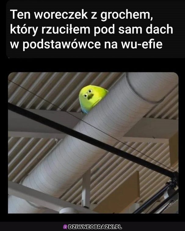 Tak było