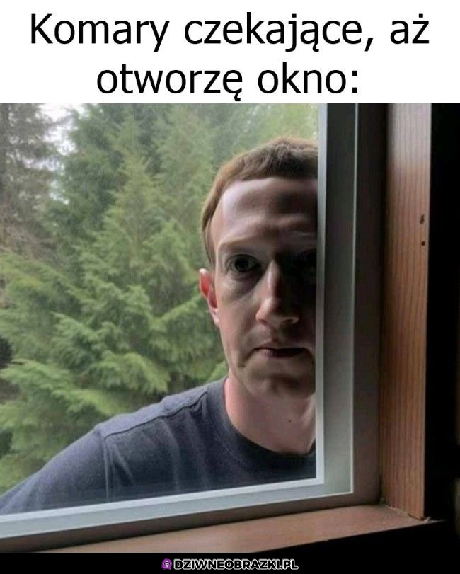 Czają się