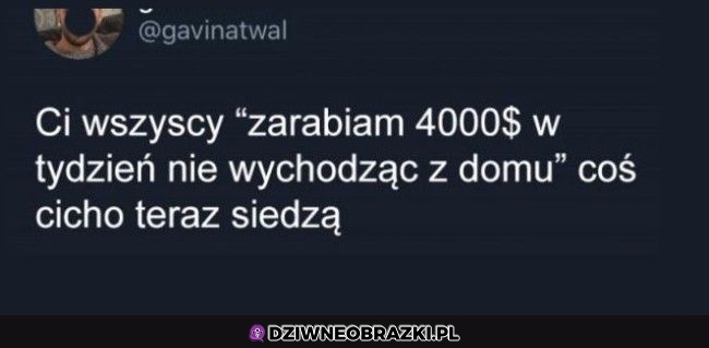 No i gdzie oni są?