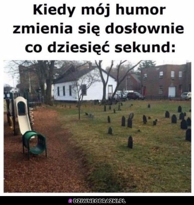 Tak to wygląda