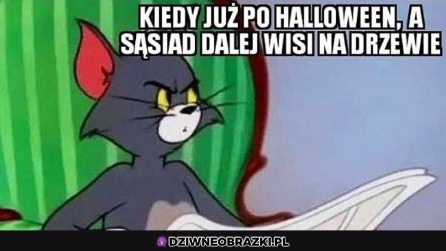 I to już ponad dwa tygodnie