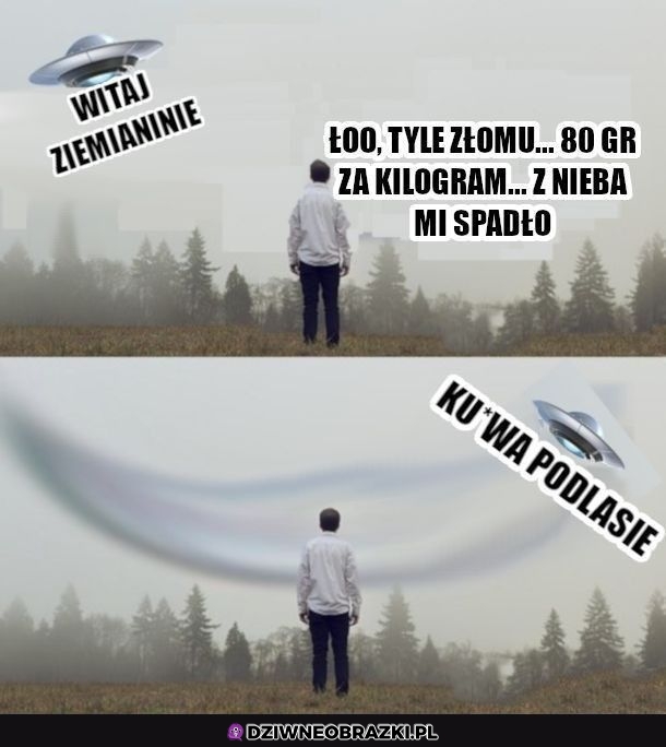 Wizyta obcych