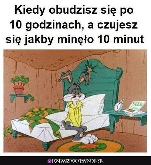 Ten moment