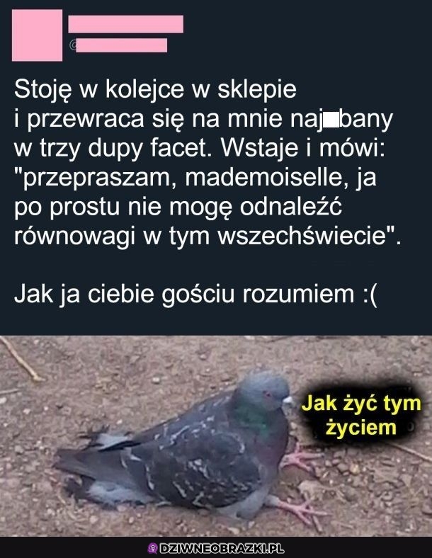 Rozumiem go