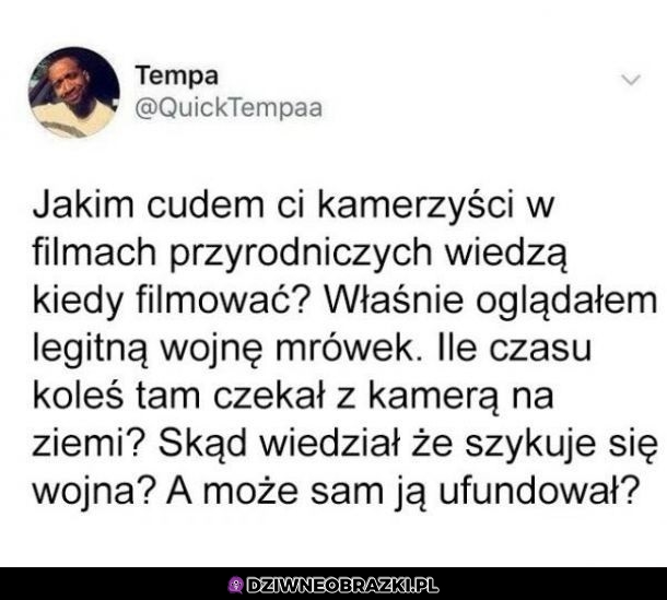 Dobre pytanie
