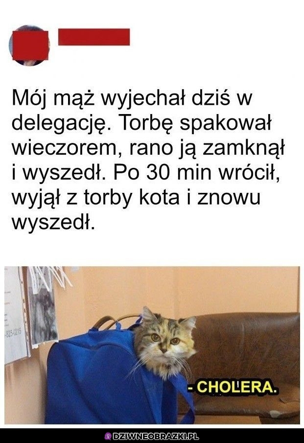 Prawie się udało