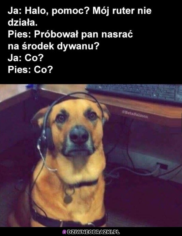 Psia obsługa techniczna