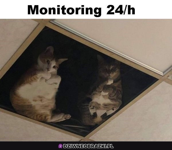 Kocitoring