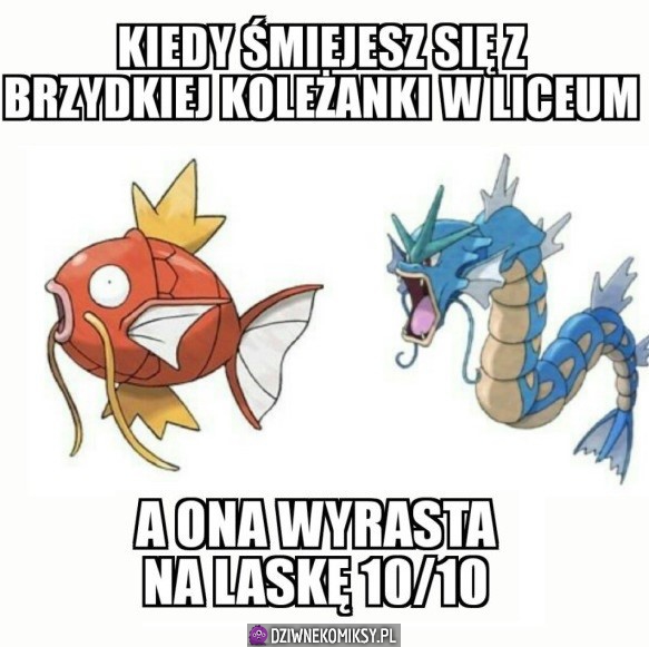 Można się przejechać