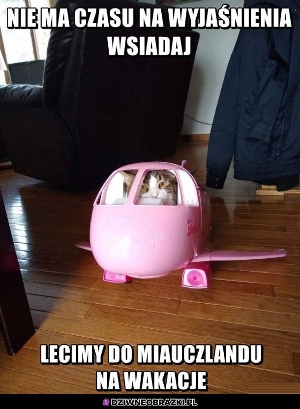 Wsiadaj!