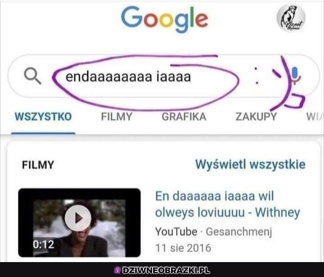 Niezawodne