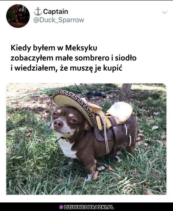 Udane zakupy