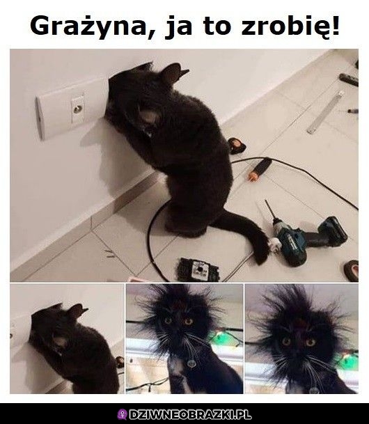 No dobra, jednak nie zrobię