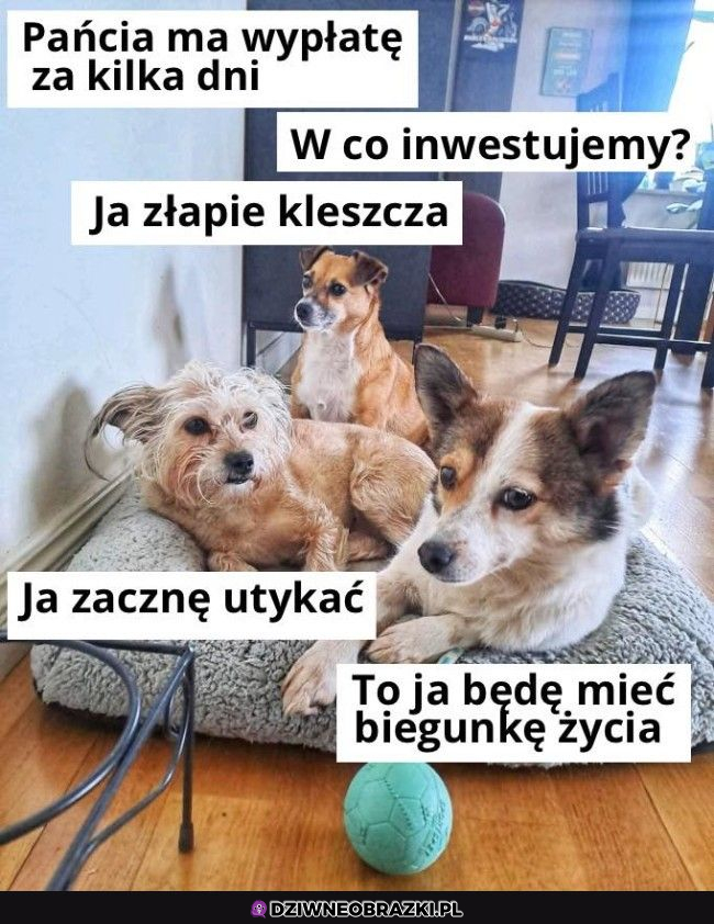 tymczasem przed wypłatą