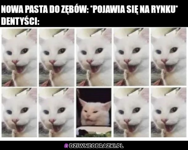 Reklamy pasty