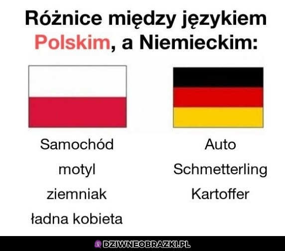 Różnice językowe