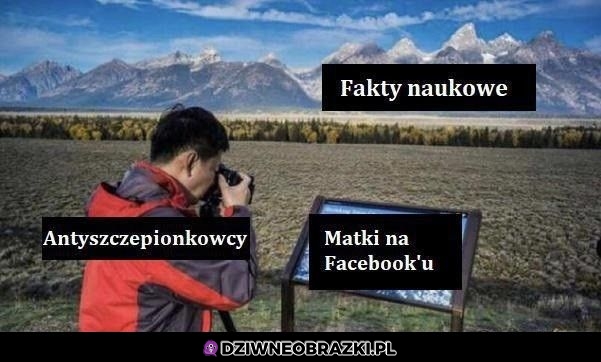 Tak działają