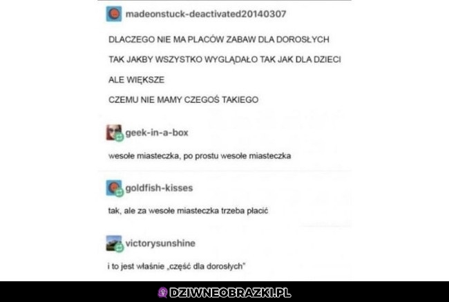Plac zabaw dla dorosłych