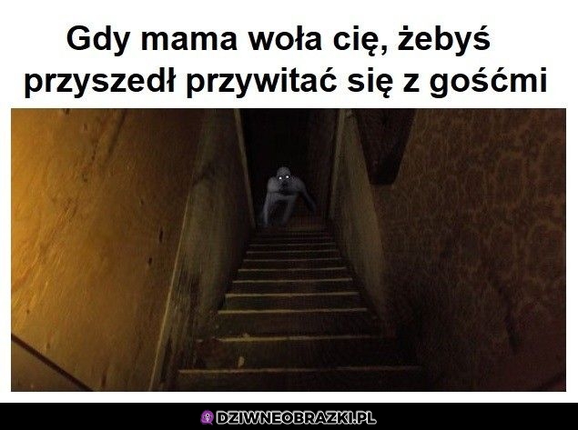 No chodź się przywitaj