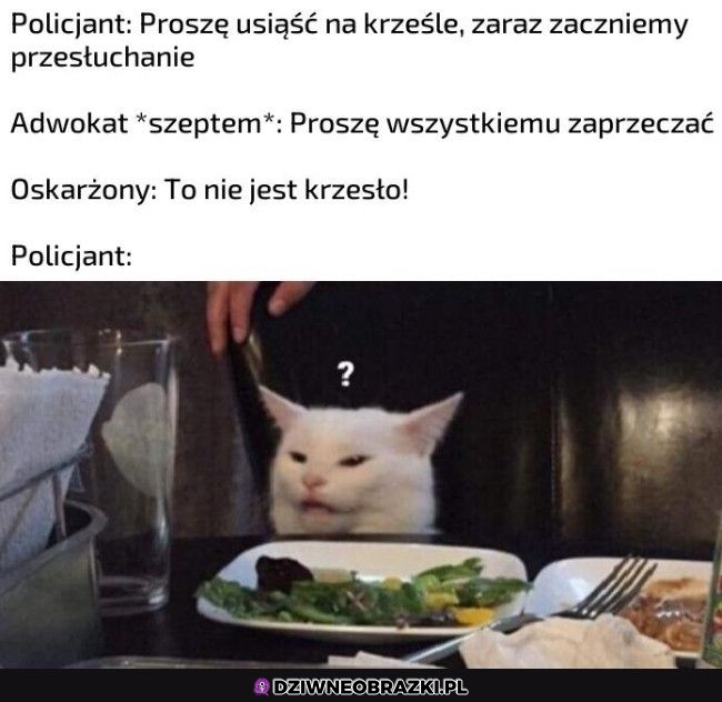 Wszystkiemu zaprzeczaj