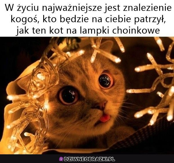 Znajdź tego kogoś