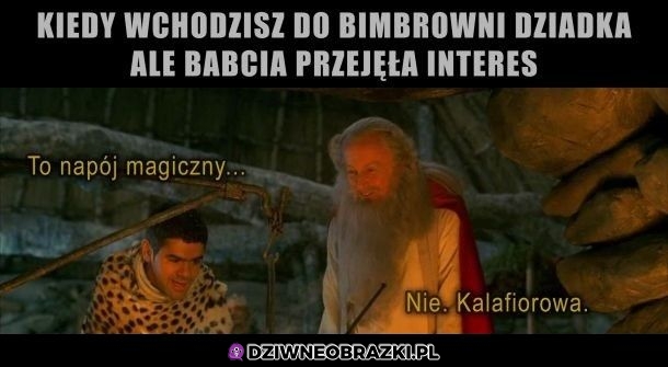 Bimbrownia