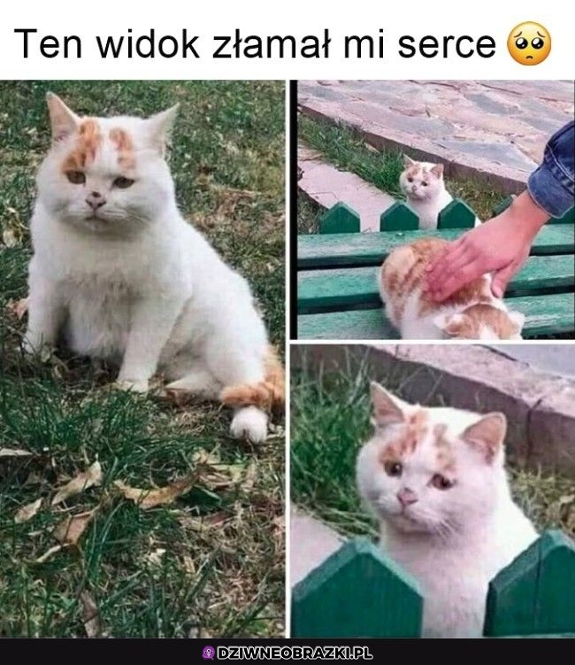 Och