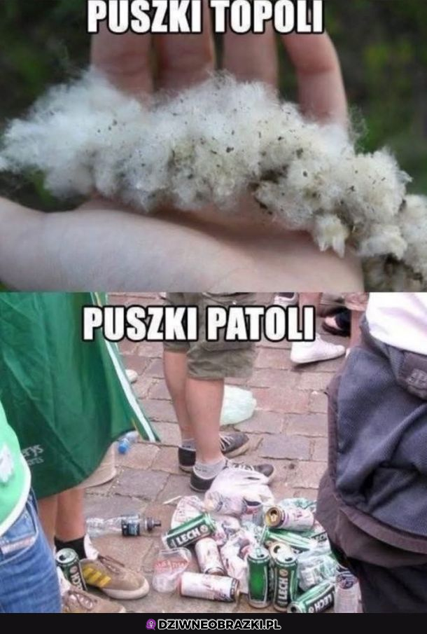 Mała różnica