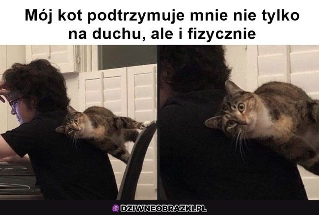 Prawdziwe wsparcie