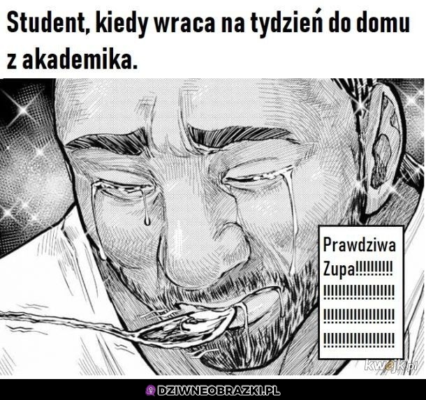 Kiedy student wróci z akademika do domu