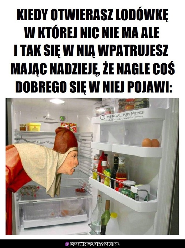 Lodówka