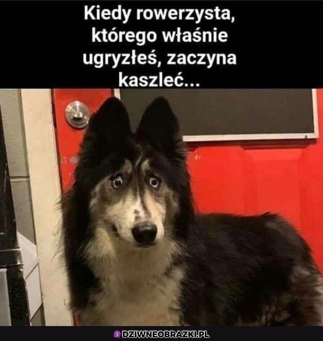 Najgorzej