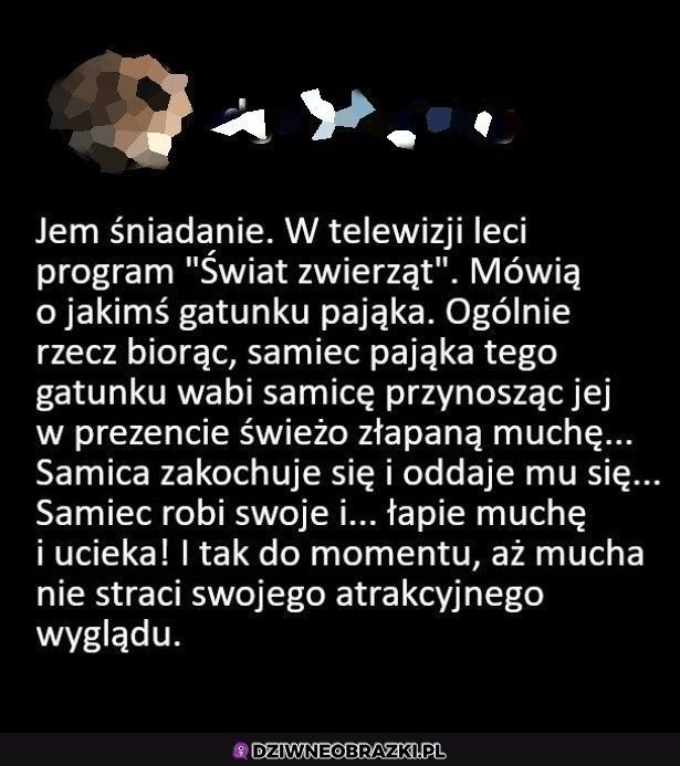 Ciekawe czy to działa na ludziach...trzeba złapać muchę :P 