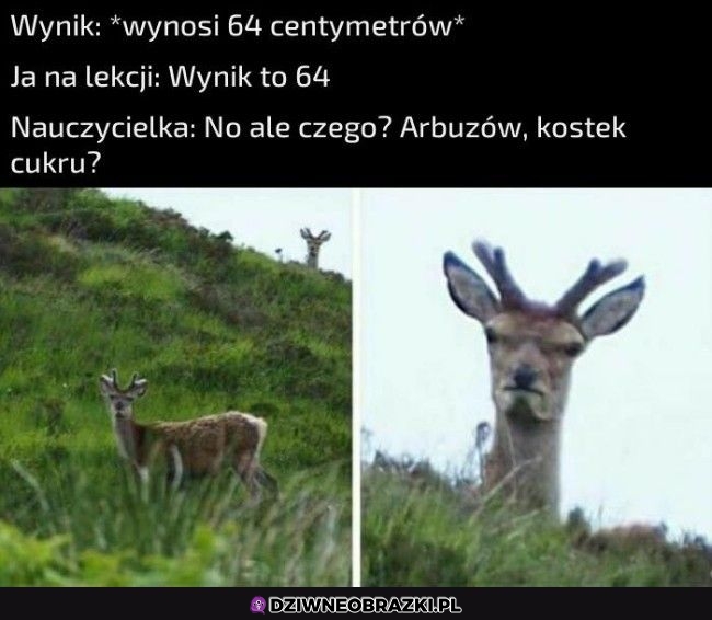 A gdzie jednostka?