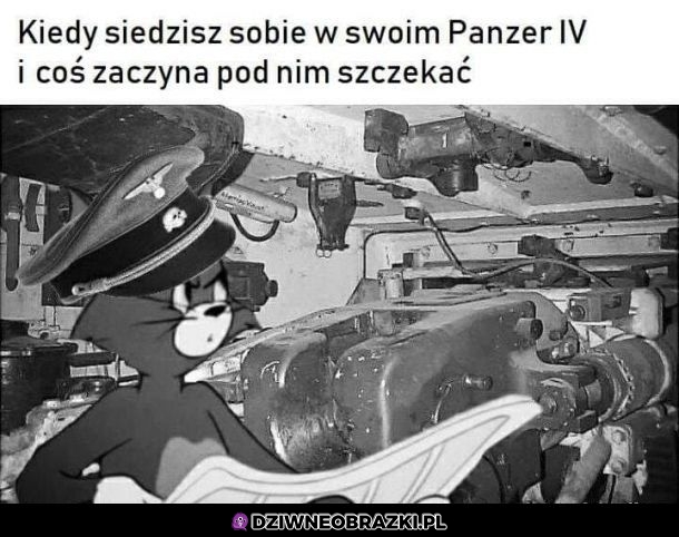 Ten moment