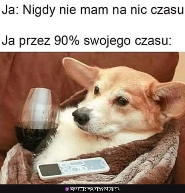 To ja