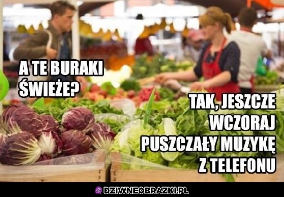 Świeżutkie buraczki