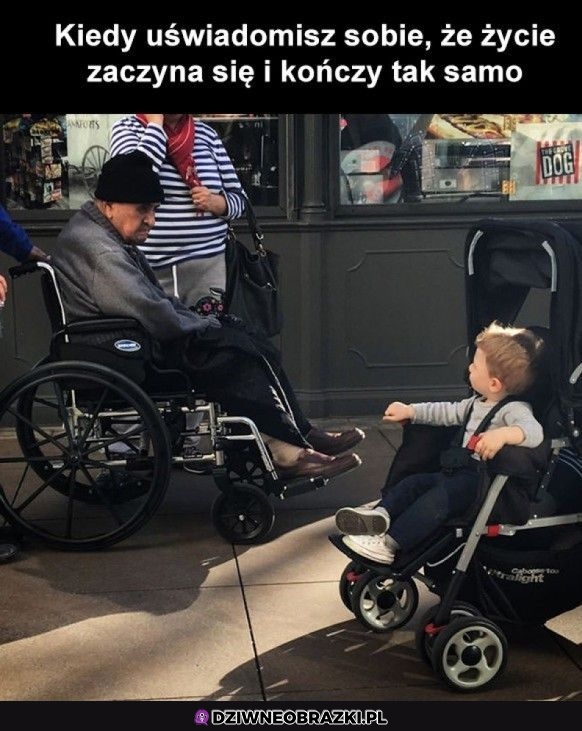 Krąg życia