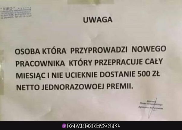 Chyba ciężko się tam pracuje